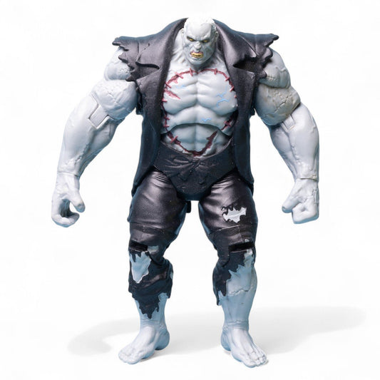 Mattel DC Comics Solomon Grundy Arkham City Batman Vs. Solomon Grundy Action Figure Action Figure Picture 1