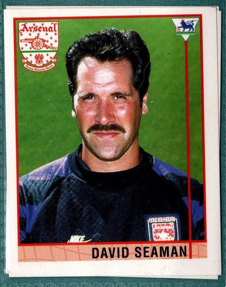 David Seaman Arsenal FC