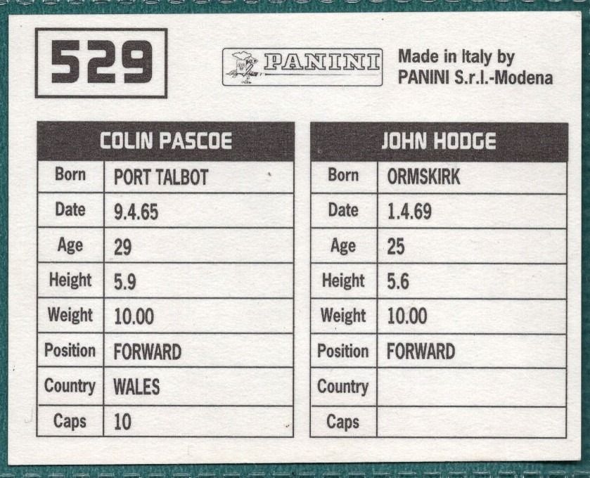 Panini Sticker Hodge / Pascoe Swansea City No.529