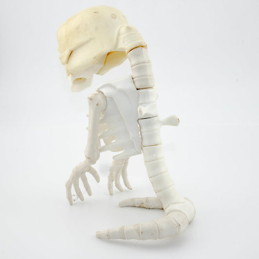 1986 KENNER BAD TO THE BONE GHOST THE REAL GHOSTBUSTERS VINTAGE EXCELLENT - DT Collectable Toys