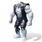 Mattel DC Comics Solomon Grundy Arkham City Batman Vs. Solomon Grundy Action Figure