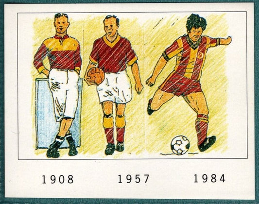 Panini Sticker Bradford City Kits No.395