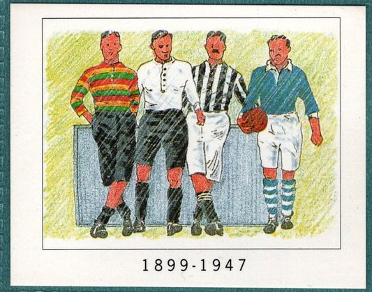 Panini Sticker Watford Kits No.325