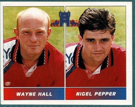 Panini Sticker Hall / Pepper York City No.552