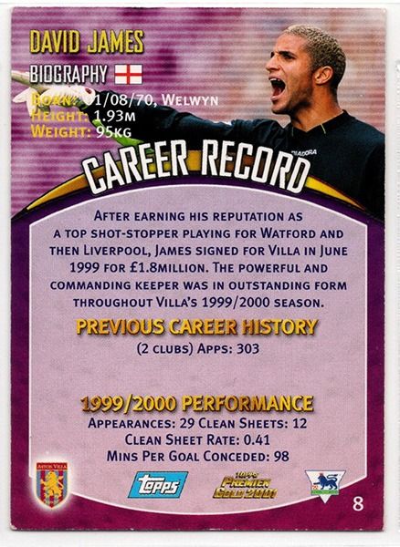David James Aston Villa Goalkeeper, No.8