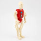 Vintage Palitoy Action Force The Red Shadows SKELETRON 1984 Rare Action Figure - DT Collectable Toys